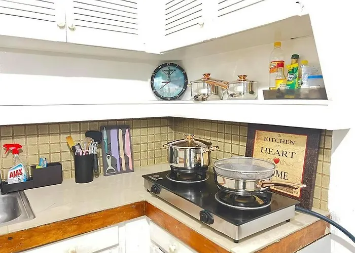 Apartment House B Spacious 3br3tb Along Commonwealth Ave